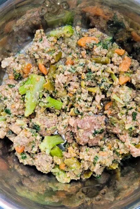 Grain Free Dog Food Recipes Homemade