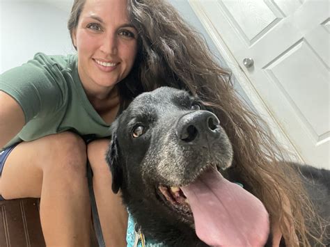 Expert Veterinary Care: Visit Grain Valley Animal Hospital Today!