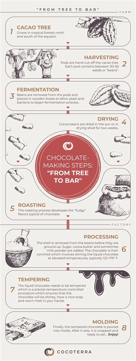 Grain to Cup Process Chocolate