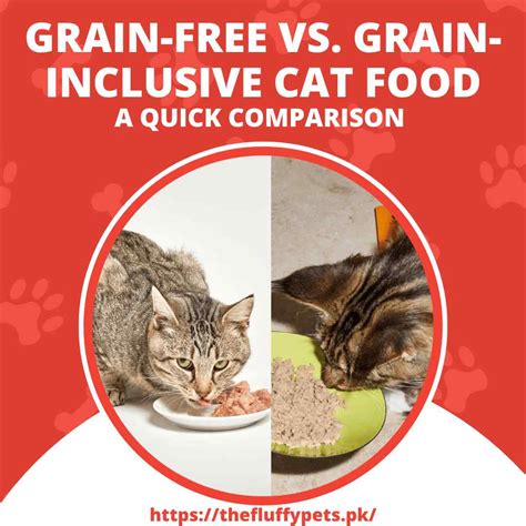 Grain-Free vs. Grain-Inclusive Options