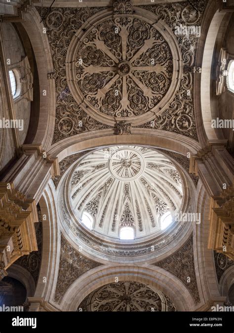 Granada Cathedral Ceiling