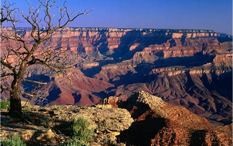 Grand Canyon, Amerika Serikat