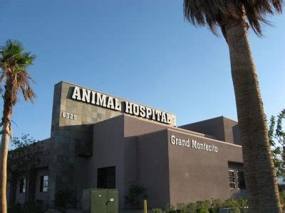 Exceptional Pet Care Services at Grand Montecito Animal Hospital - Your Trusted Healthcare Partner for Animal Companions