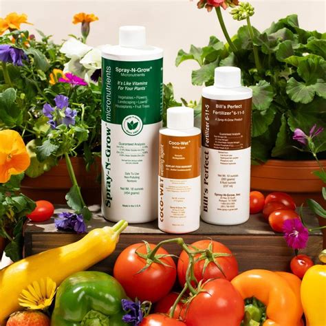 Grandifloras: A Perfect Blend