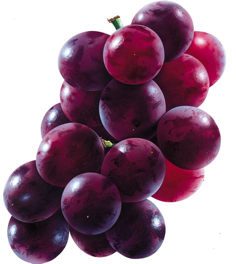 Grapes