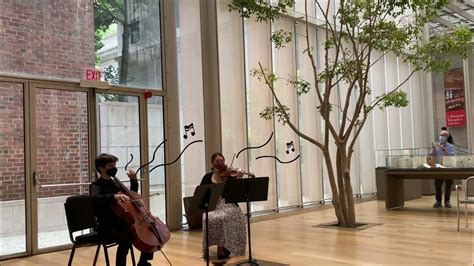 Graphical flourishes