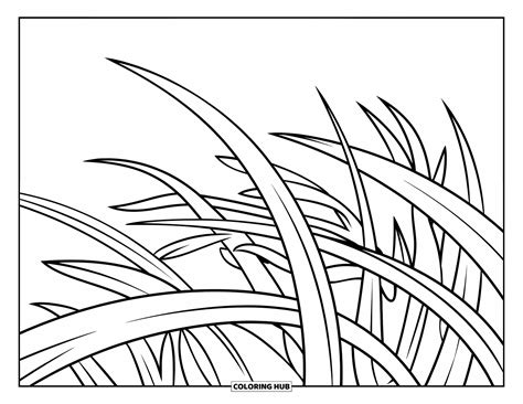 Gras Kleurplaat