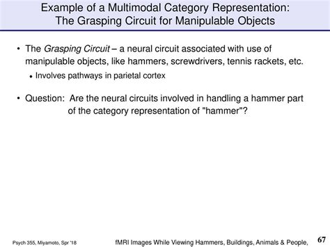Grasping Circuit Functions