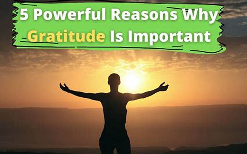 Gratitude Importance
