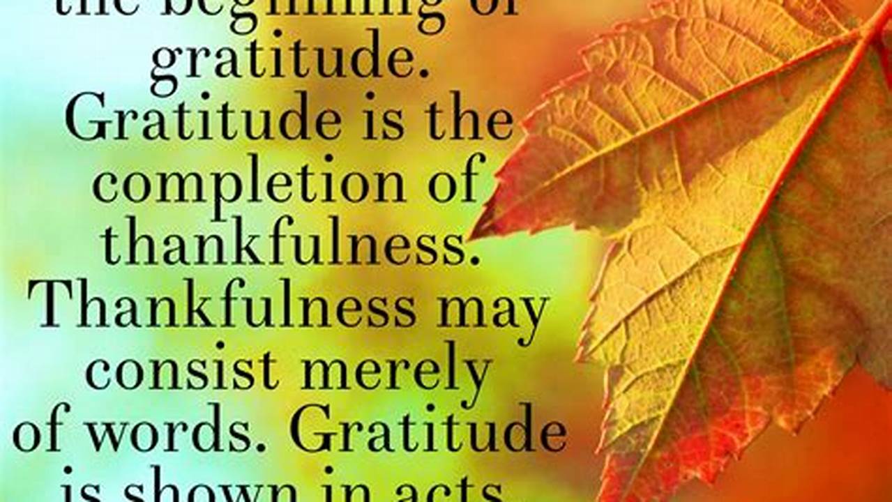 Gratitude, News