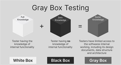 Gray Box Testing: Definisi & Keunggulan Utama