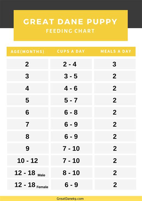 The Ultimate Great Dane Feeding Chart Hello Danes