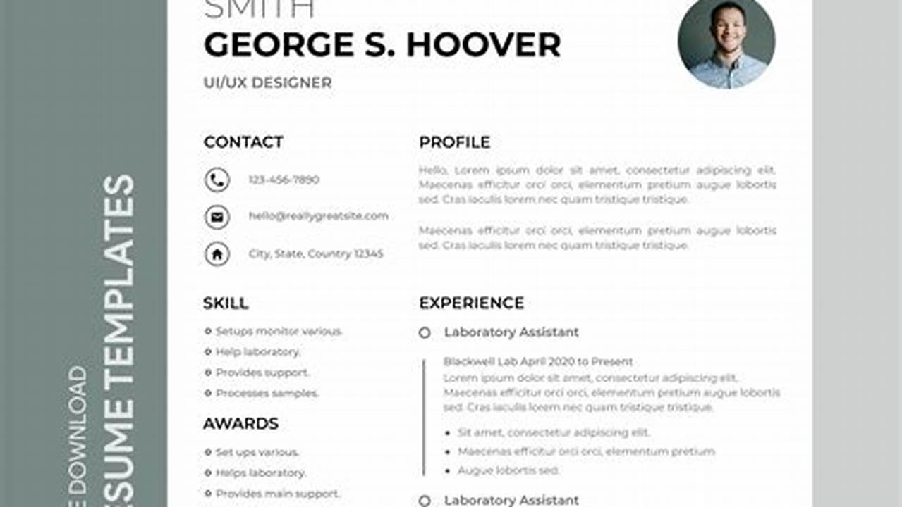 Great Resume Examples 2024