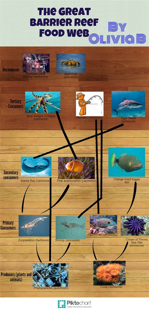 Great Barrier Reef Food