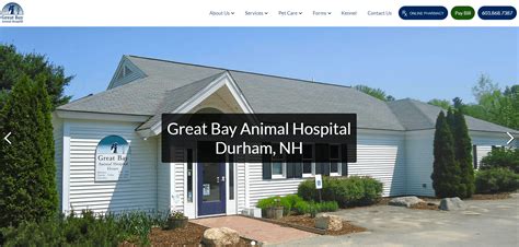 Top-Notch Pet Care Services at Great Bay Animal Hospital Durham NH - Your One-Stop Solution for Happy and Healthy Pets