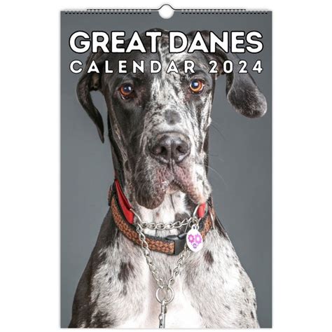 Great Dane Calendar