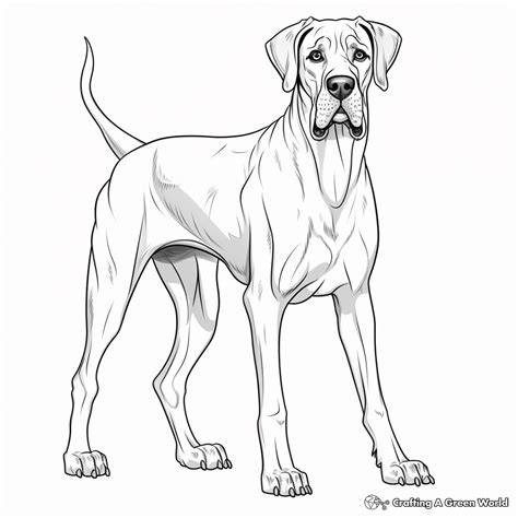 Great Dane Coloring Page