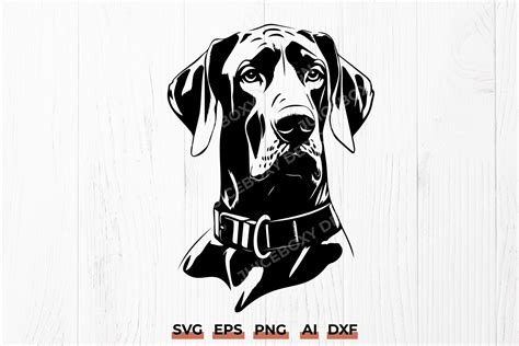 Unleash the Paw-some Fun with Great Dane SVG Designs: Fetching Fur-bulous Times Await!