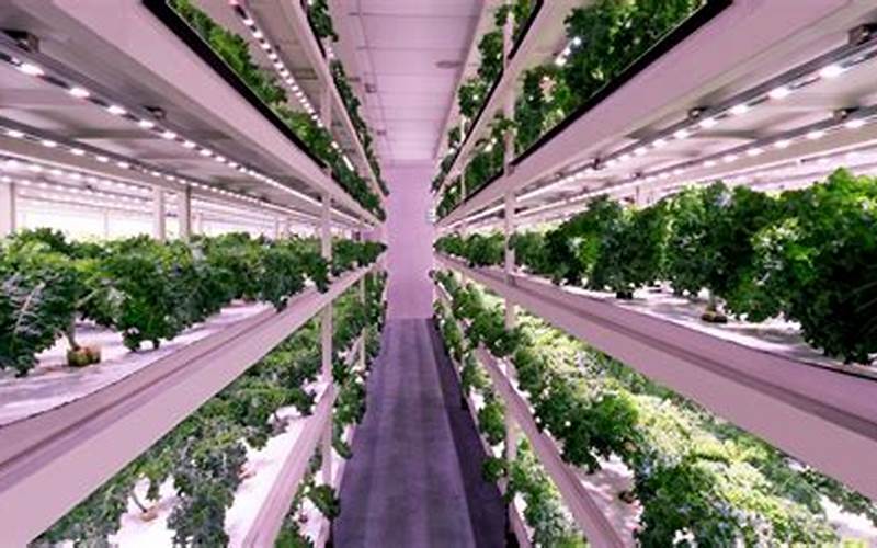 Green Hydroponic Farming: Growing Food Sustainably In Controlled Environments