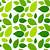 Green Leaf Design