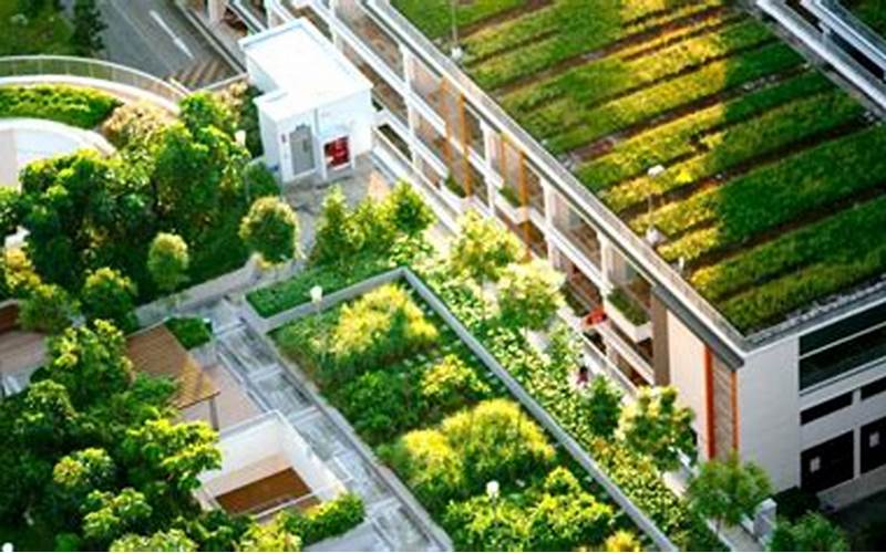 Green Roofs: Enhancing Energy Efficiency And Urban Biodiversity