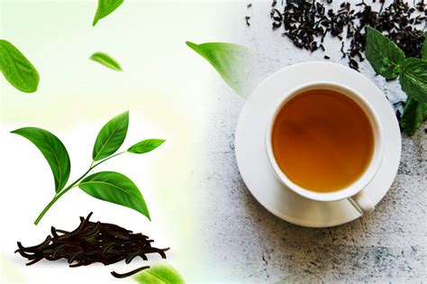 How to use green tea to get rid of acne and pimples. Try green tea