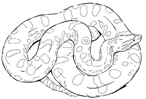 Green Anaconda Coloring Pages
