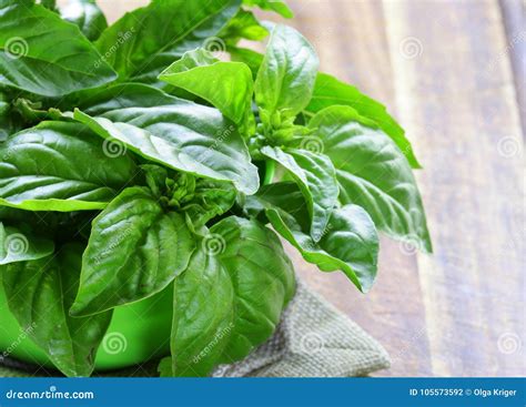 Green Basil