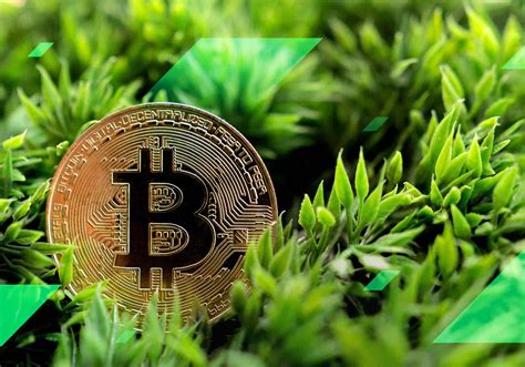 Green Cryptocurrency Revolution