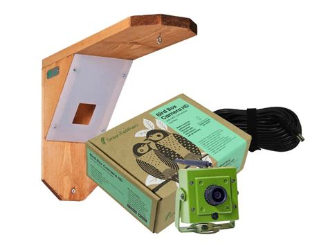 Green Feathers Bird Feeder Camera Bundle with WiFi Connection video samples