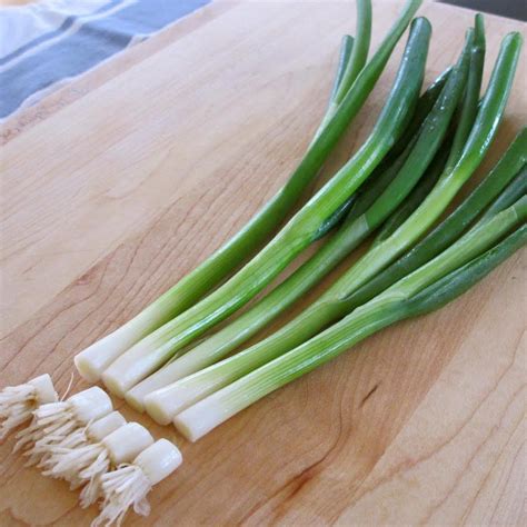 Green Onion Watering tips