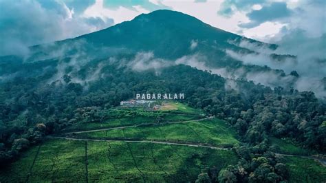 Green Paradise di Pagar Alam | Atourin