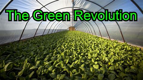 Ushering in a New Era: The Green Revolution Defined through the Lens of AP Human Geography