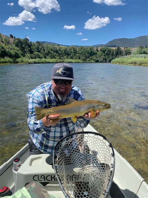 Green River Fishing Report