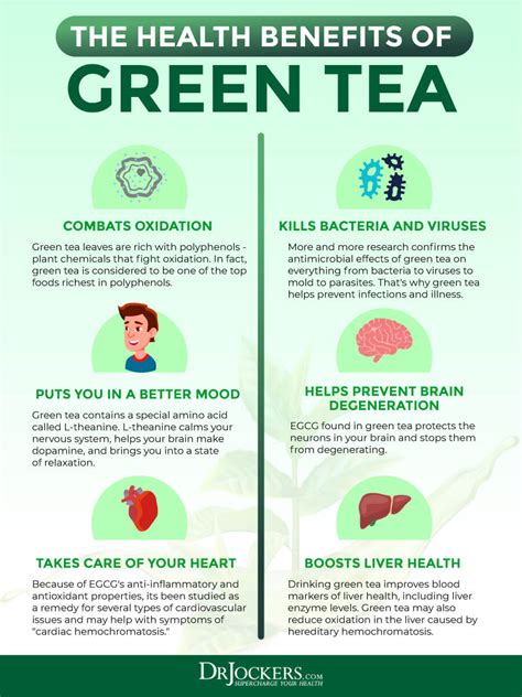 Green Tea & Pregnancy: Is It Safe?