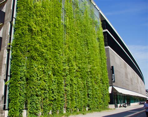 Green Wall System Vine