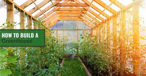 Greenhouse Construction