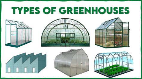 Choosing the Right Greenhouse Shape