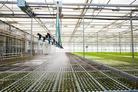 Greenhouse irrigation system
