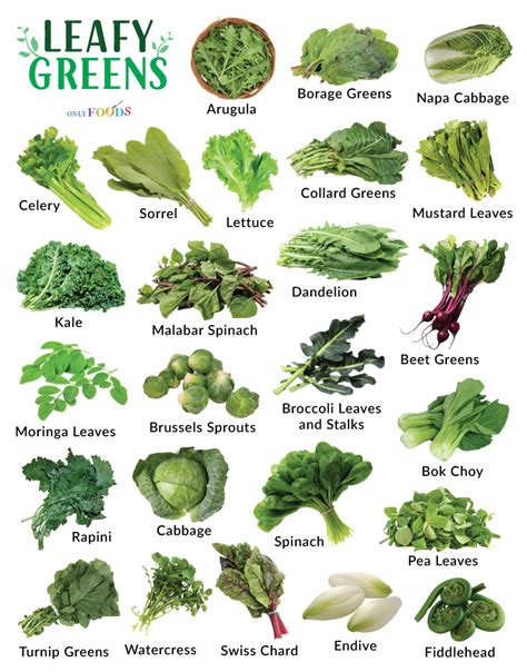 Greens Vegetables
