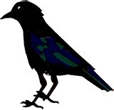 Greg Raven Apple Valley Ca