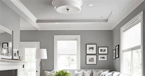 Grey Ceiling Paint Color