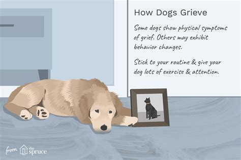 Grieve Your Dog