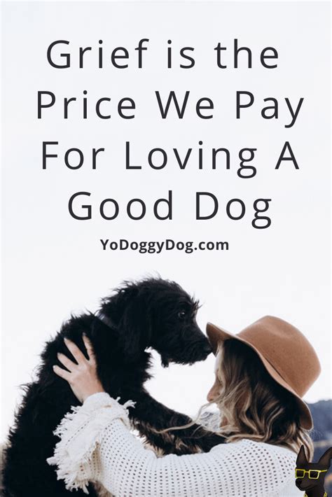 Grieving A Dogs Death