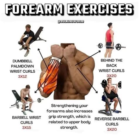 Grip And Forearm Exercises
