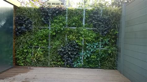 Groene Afscheiding Tuin