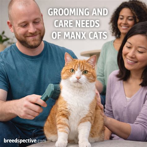 Grooming and Maintenance Needs