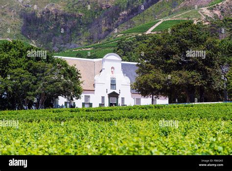 Groot Constantia Vineyards