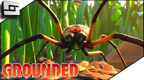 Grounded Spider Jumpscare