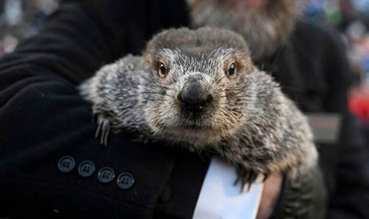 Groundhog Died 2024